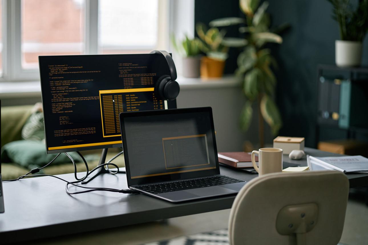 Professional PHP Development Service